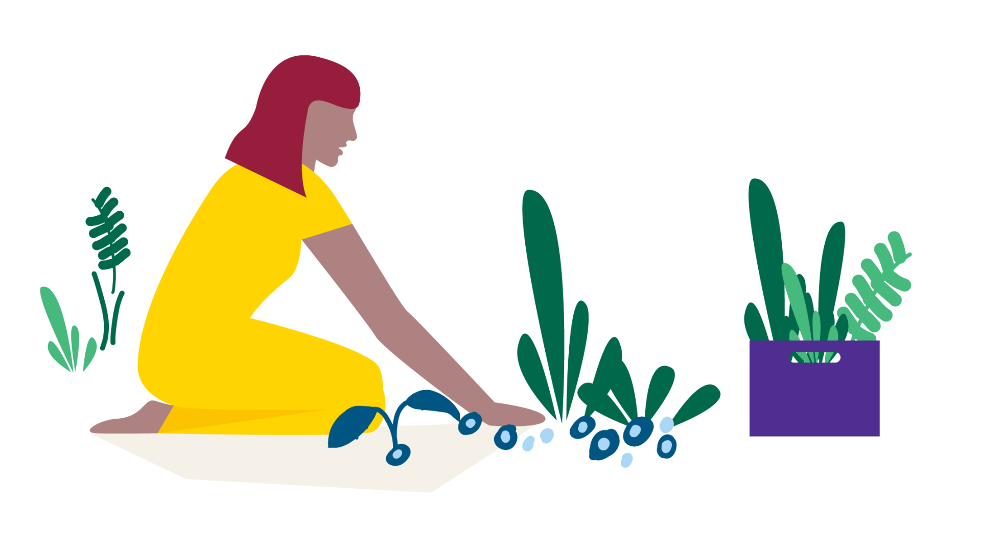 Illustratie van een vrouw die planten verzorgt en bessen plukt.